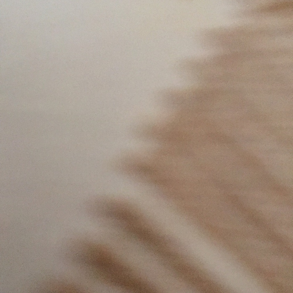 Meet your Posher, Sandi